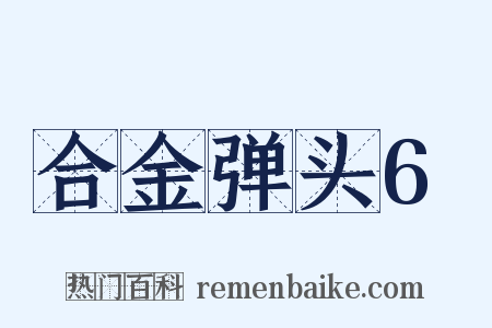 合金弹头6是什么意思的图片